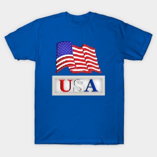 USA T-Shirts and More T-Shirt